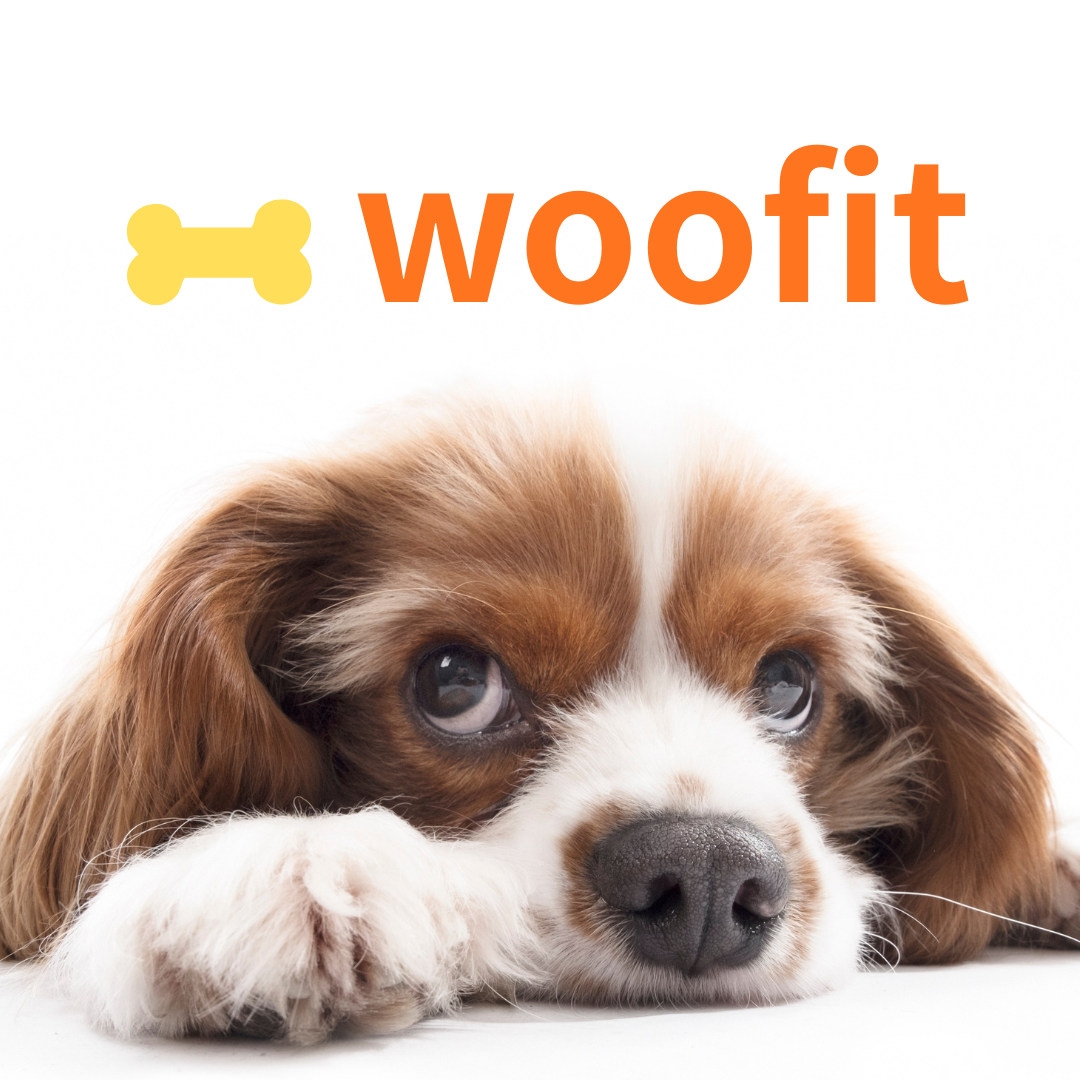 woofit.com